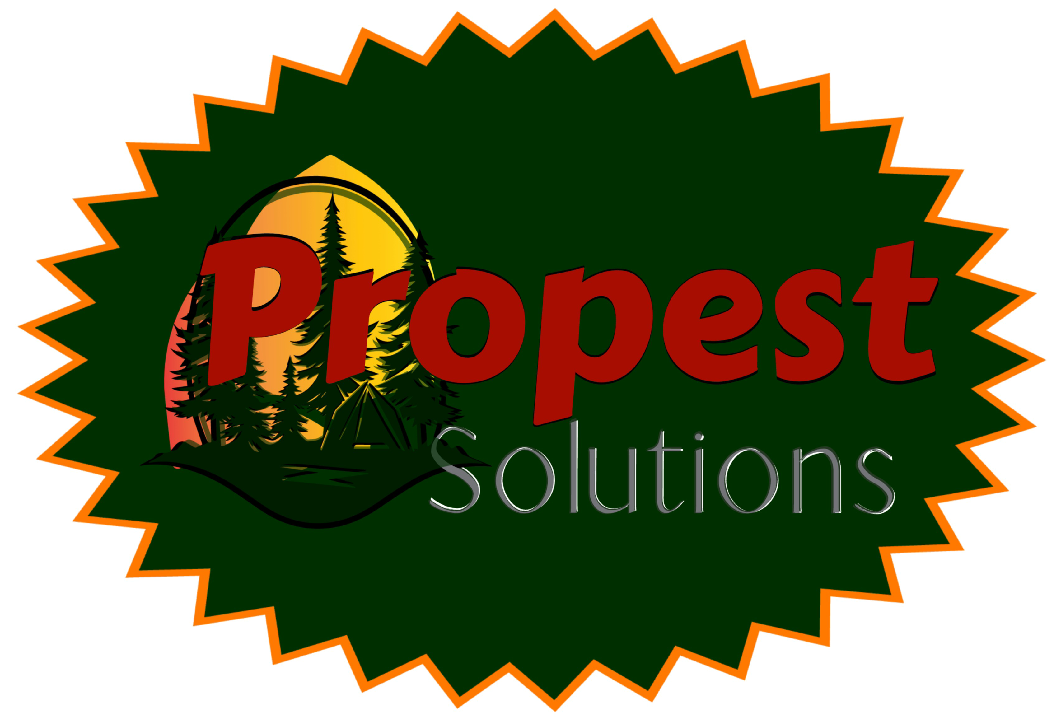 Pest Inspection Services Eagle County