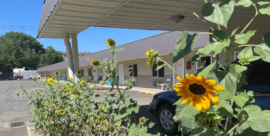 Guest using Wi-Fi as part of amenities in John Day motel room